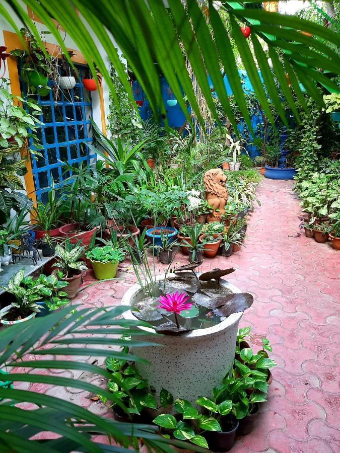 The Coral House Homestay By The Taj Agra  Ngoại thất bức ảnh