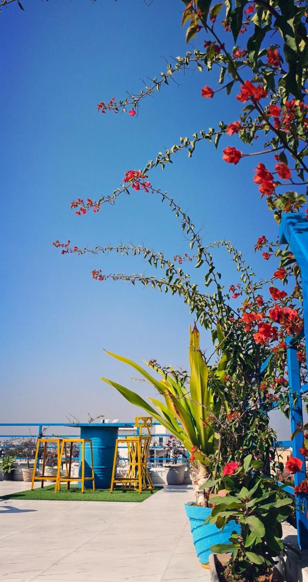 The Coral House Homestay By The Taj Agra  Ngoại thất bức ảnh